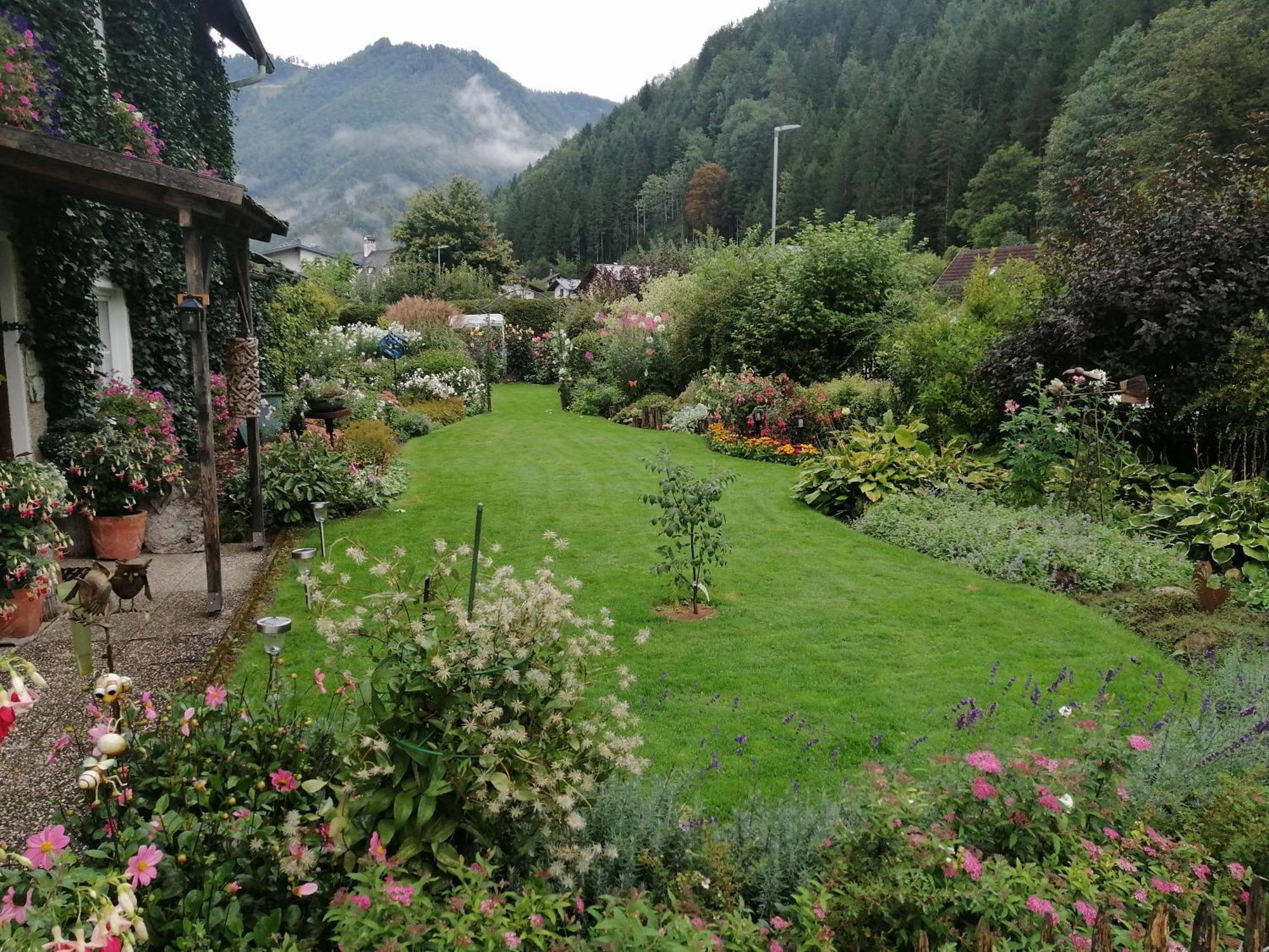 Appartment Haring Hollenstein an der Ybbs Экстерьер фото