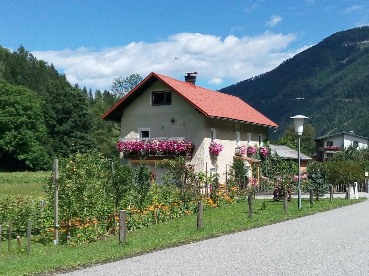 Appartment Haring Hollenstein an der Ybbs Экстерьер фото
