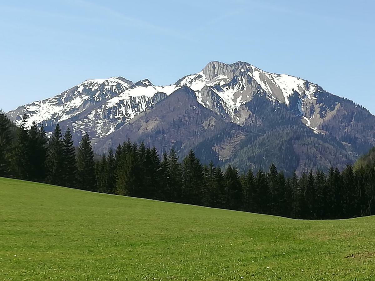 Appartment Haring Hollenstein an der Ybbs Экстерьер фото